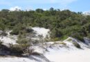 Polícia Federal Realiza Operação Contra Extração Ilegal de Areia em Camaçari